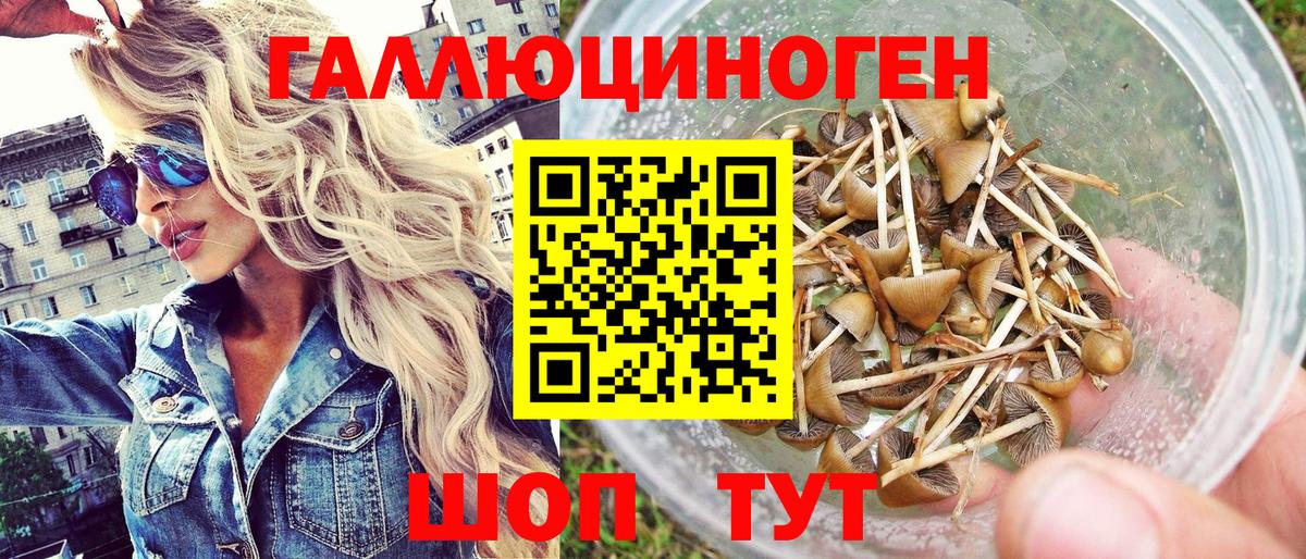 Псилоцибиновые грибы GOLDEN TEACHER Когалым