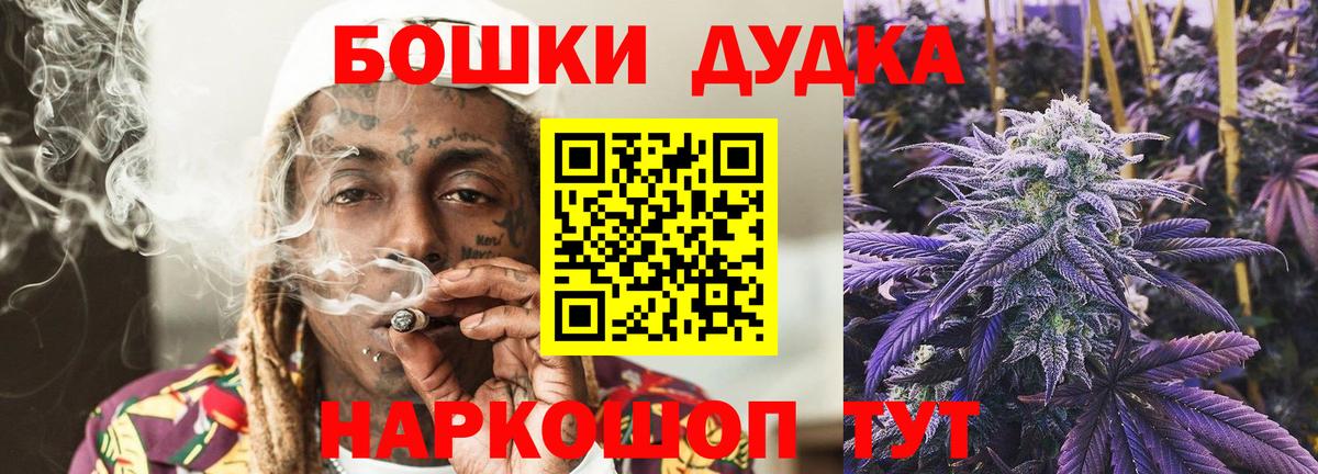Каннабис сатива Когалым